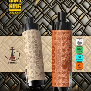 Bang King Shisha 18000 Puffs DTL Hookah Disposable Vape with Display 18K Puffs Vape Pen Electronic Cigarette Wholesale Vape Pen Bulk Buy 12 Flavors Big Cloud Type -C (1)