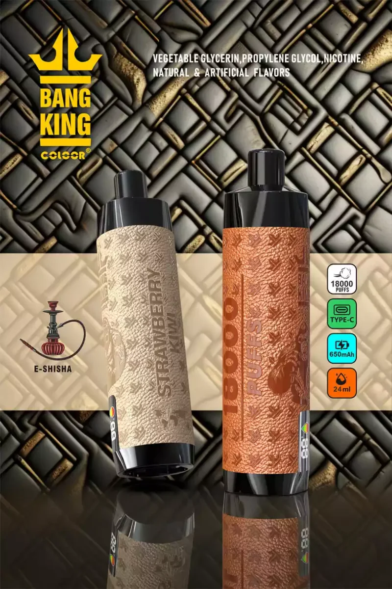 Bang King Shisha 18000 Puffs DTL Hookah Disposable Vape with Display 18K Puffs Vape Pen Electronic Cigarette Wholesale Vape Pen Bulk Buy 12 Flavors Big Cloud Type -C (1)