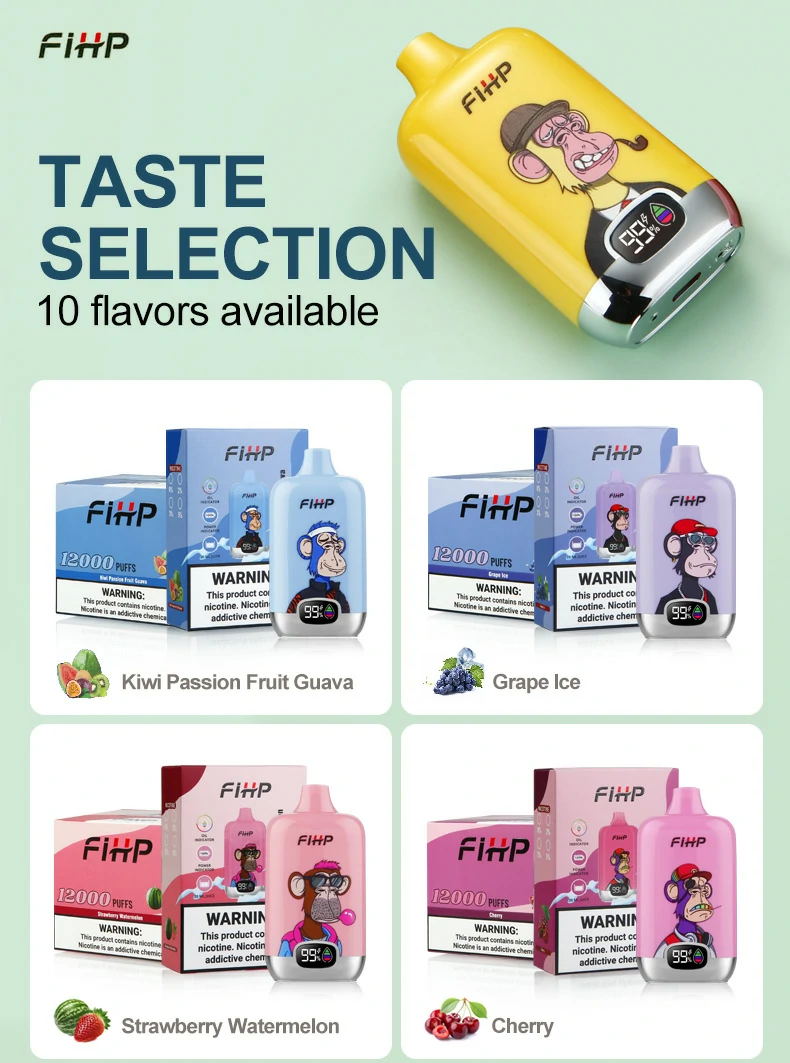 FIHP 12000 Puffs Disposable Vape Pen with Mesh Coil 2% Nicotine 650mAh Battery Wholesale Available Nicotine 2% 5% (6)