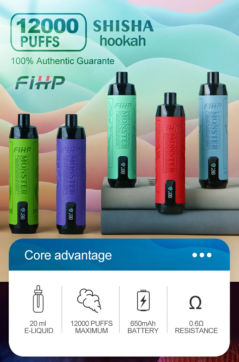 FIHP Shisha Hookah 12000 Puffs Disposable Vape Pen 20ml E-Liquid Rechargeable 650mAh Battery for Wholesale (23)
