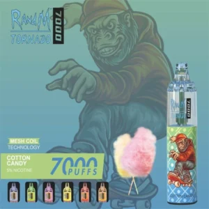 Randm Disposable Vapes for Wholesalers in Europe