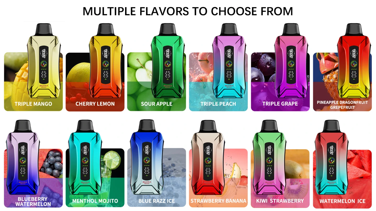 Wholesale VASY SORA 18000 Puffs Disposable Vape Pen with Double Mesh Coil Multiple Nicotine Options and LED (