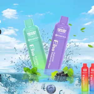Wholesale Vasy Elise 5000 Puffs Disposable Vape Pen with Mesh Coil and Multiple Nicotine Options 550mAh Rechargeable Battery Direct from China Factory (1)
