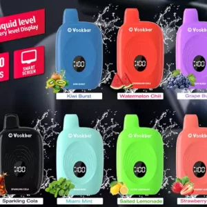 Original Factory Vookbar COCO 6600 Puffs Wholesale Disposable Vapes 3% Low Nicotine Rechargeable Digital Smart Sc (6)