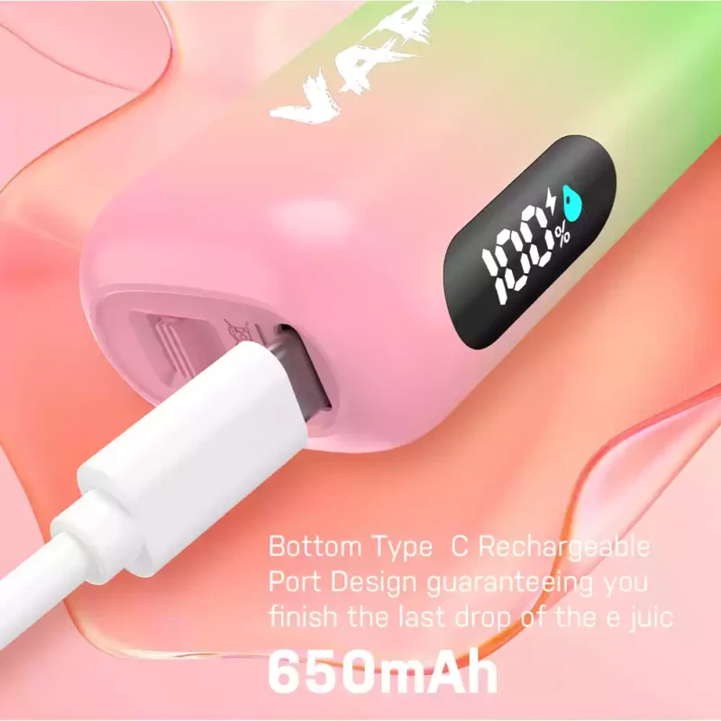 Bulk Wholesale Purchase of VAPEN ROCS 16000 Puffs Disposable Vape Rechargeable with 2% 5% Nicotine and Refillable Oil
