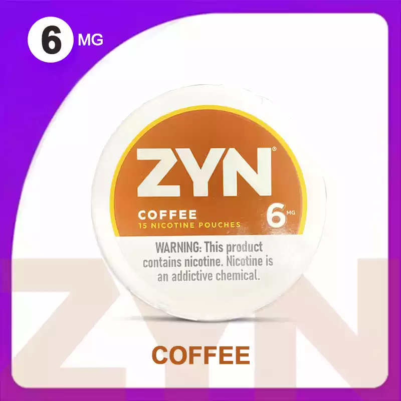 ZYN Nicotine Pouches Wholesale Bulk Buy Nicotine 6MG 10 Flavors 2025 New Original Factory Shipment (3)